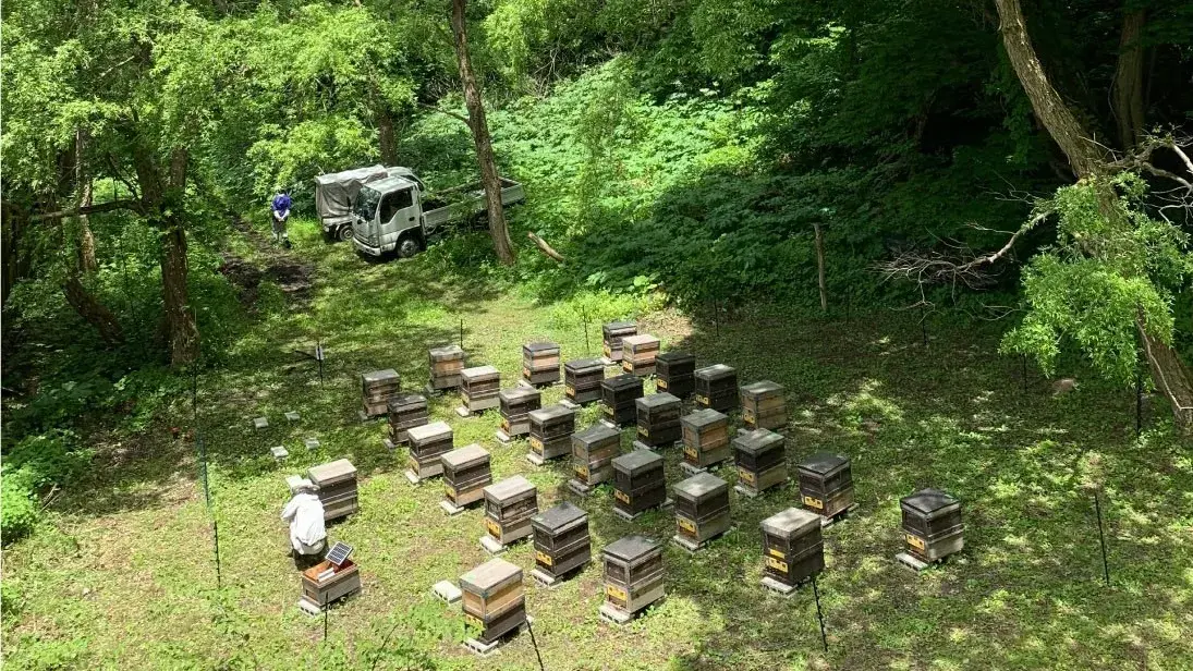 国産で唯一の唯一の有機はちみつ