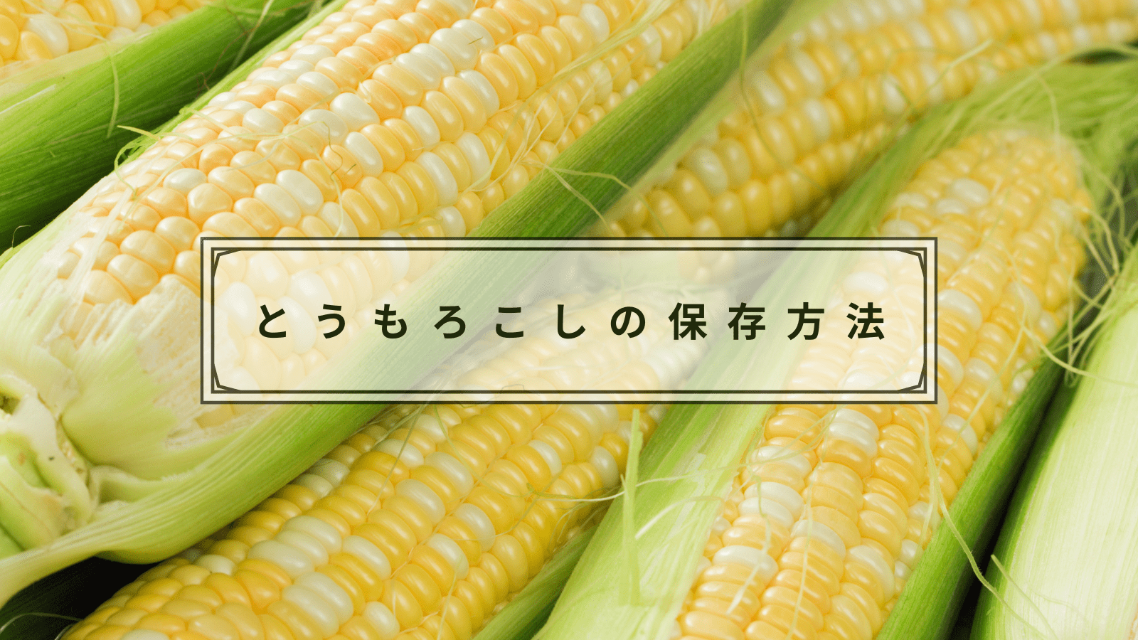 意外と知らない？とうもろこしの正しい保存方法｜冷蔵＆冷凍は？保存期間は？管理栄養士が解説