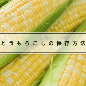 意外と知らない？とうもろこしの正しい保存方法｜冷蔵＆冷凍は？保存期間は？管理栄養士が解説