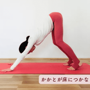 【夜におすすめ】全部まとめてリセット！肩や首、背中、腰、脚の疲れ...全身に効く万能ストレッチ