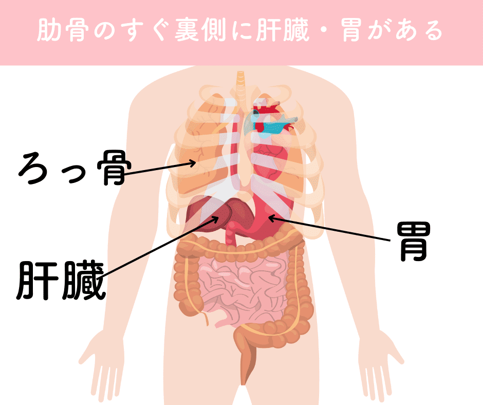 ろっ骨の下の内臓_伊藤香奈