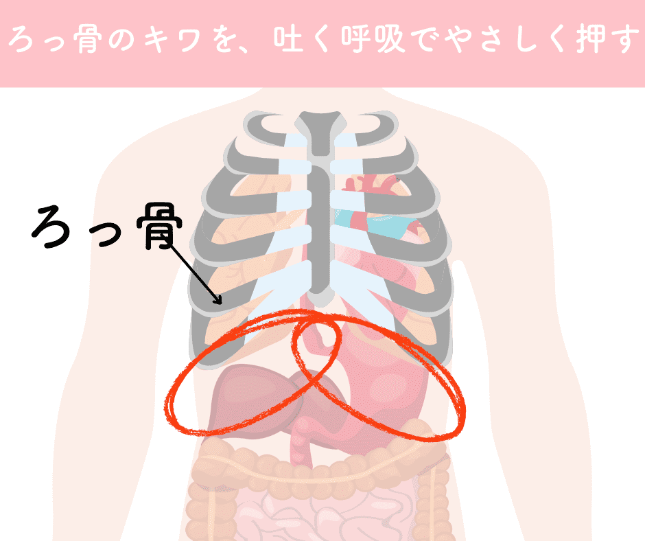 肝臓と胃のマッサージ_伊藤香奈