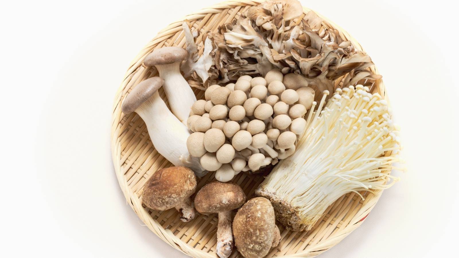 きのこは冷蔵より冷凍!? 栄養と旨味を最大化する驚きの保存法｜管理栄養士が解説