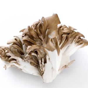 庶民派きのこ「まいたけ」が“血糖値サポーター”!?血糖値＆脂質代謝を助ける特有成分の正体