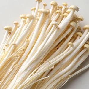 地味食材えのきがまさかのダイエット食材！えのきだけに潜む脂肪燃焼成分の正体とは？