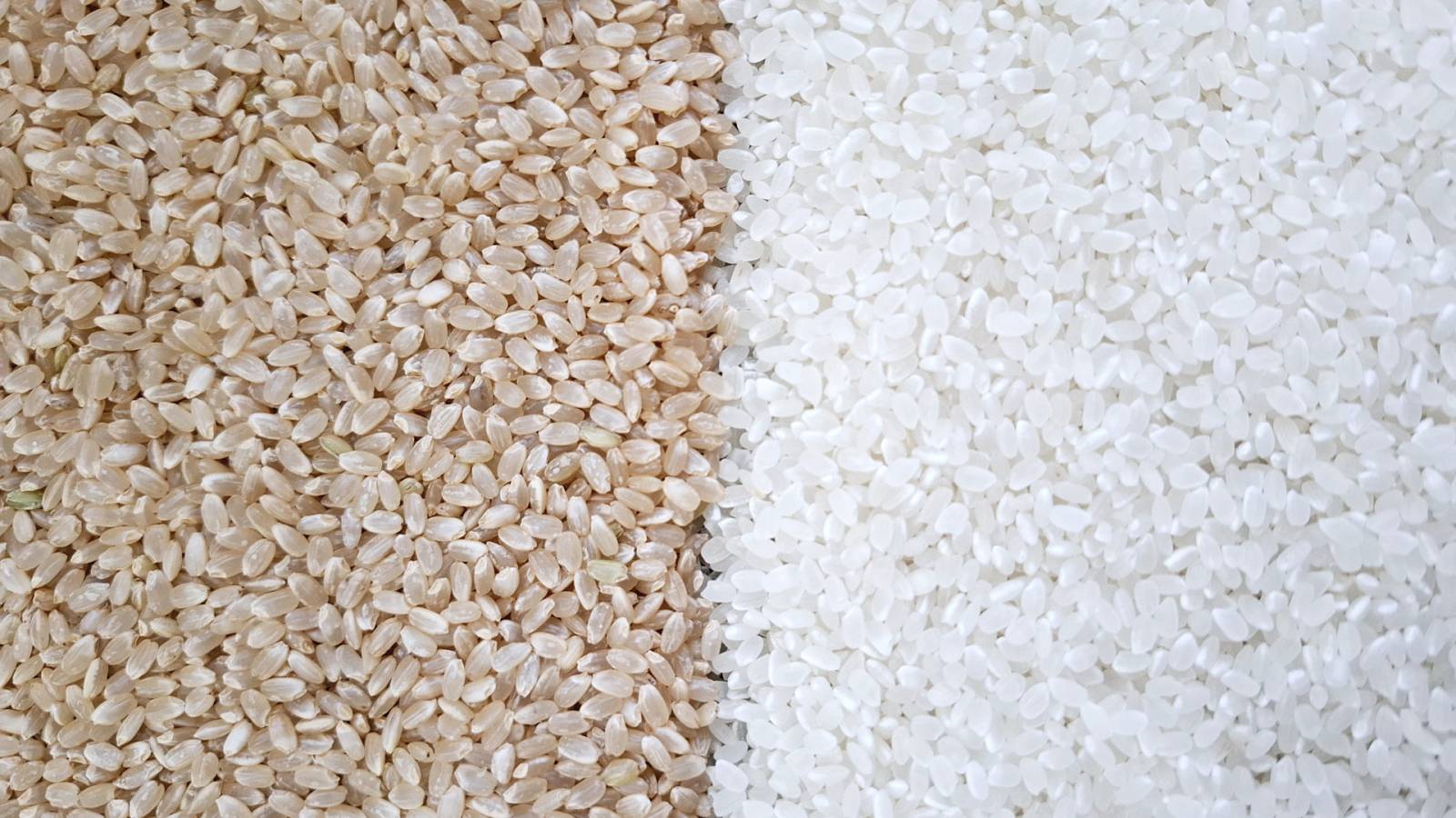 食物繊維の差は６倍！健康志向なら玄米？消化の良さなら白米？玄米と白米の違いと選び方を徹底解説