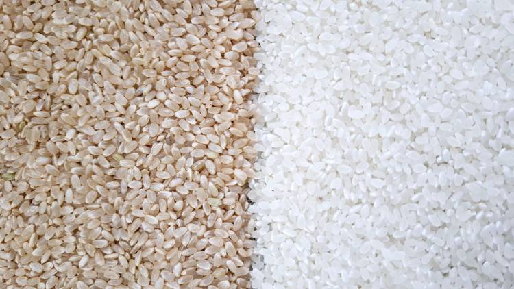 食物繊維の差は６倍！健康志向なら玄米？消化の良さなら白米？玄米と白米の違いと選び方を徹底解説