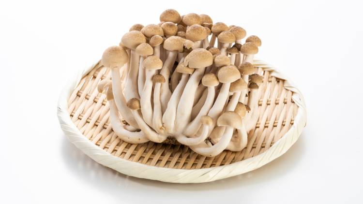 「しめじ」が実は“二日酔い対策きのこ”だった！しじみに負けないオルニチンパワーの上手な摂り入れ方