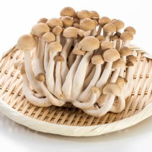 「しめじ」が実は“二日酔い対策きのこ”だった！しじみに負けないオルニチンパワーの上手な摂り入れ方