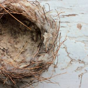 【空の巣症候群3つの対策】子どもの巣立ちと更年期からの生き方を考える