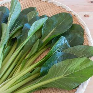 レバーだけじゃない！鉄不足に悩む人の強い味方「小松菜」の栄養価と、鉄分吸収率を上げる食べ合わせ