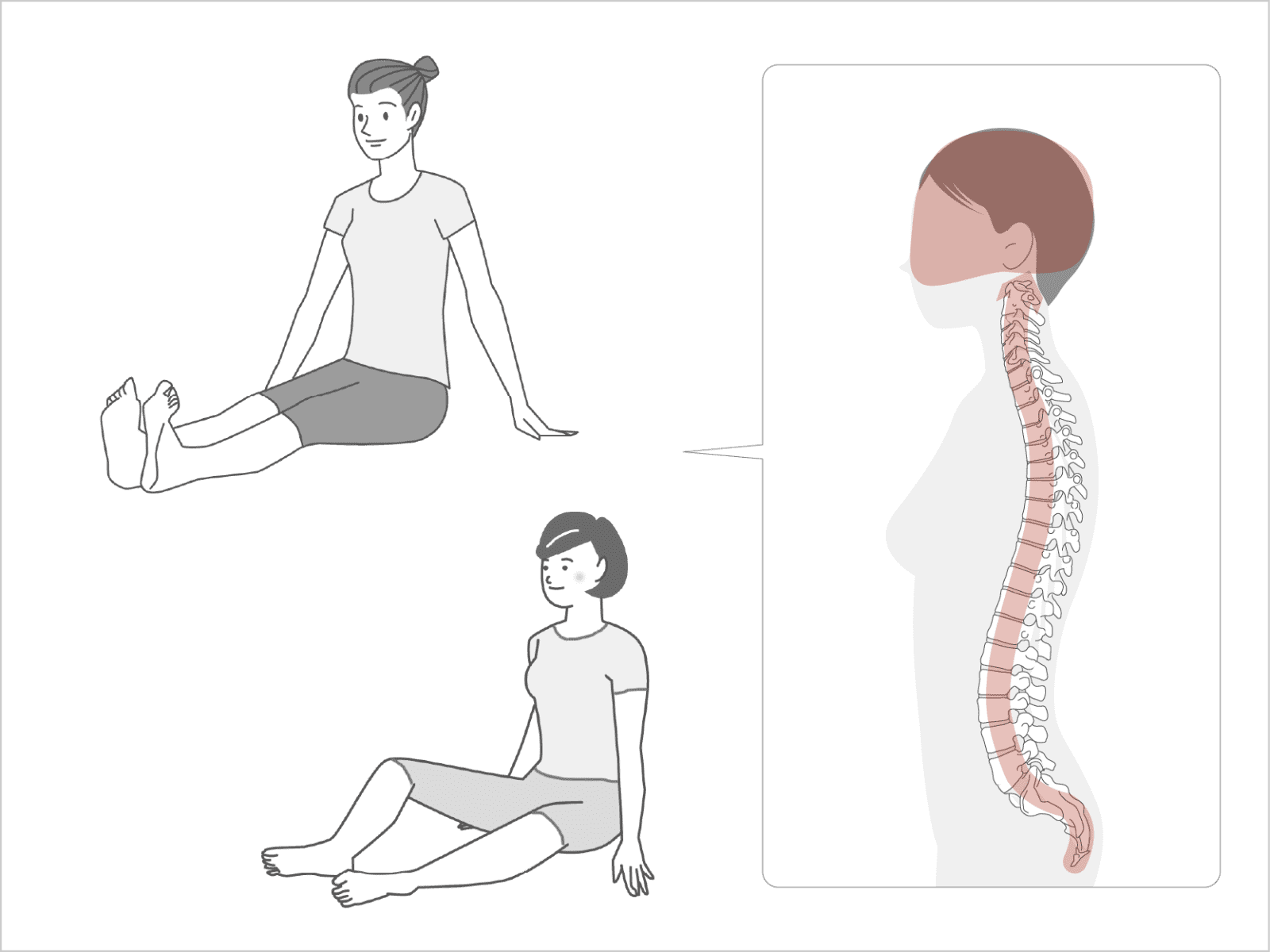 脊椎は緩やかなカープを描いていて、頭はその脊椎の上に乗っている。そして頭は脊椎の上で自由に動けて、それに伴って脊椎も常にバランスをとって動いている
