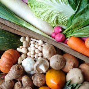 だるさ・食欲不振は“秋バテ”かも？だるさ・頭痛・胃もたれに効く秋野菜ベスト4｜管理栄養士が解説