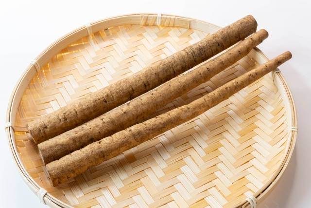 ゴボウのイメージ