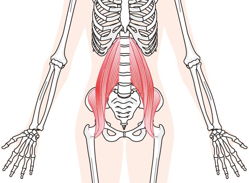 反り腰改善のカギは腸腰筋