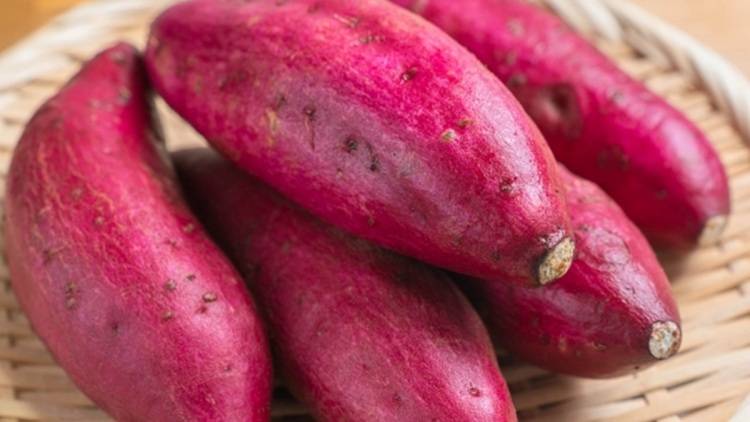 【さつまいも】食べ方次第では便秘になる？！お腹が張らない「さつまいも」の正しい食べ方