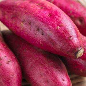 【さつまいも】食べ方次第では便秘になる？！お腹が張らない「さつまいも」の正しい食べ方