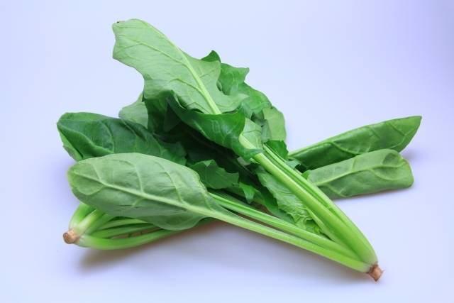 ほうれん草のイメージ