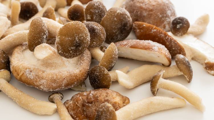 腸がどんどんキレイになる「冷凍きのこ」の食べ方【管理栄養士が解説】