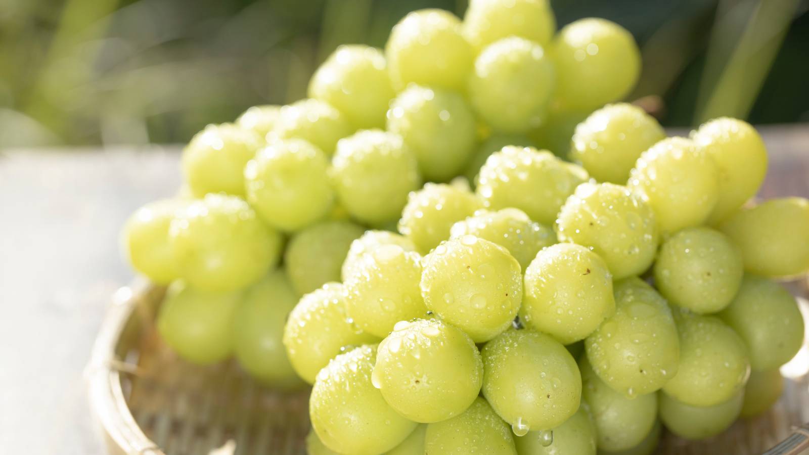 閉経後女性の筋力をサポート!? 最新研究で明らかになった“ぶどう”の力、どれくらい食べたらよい？