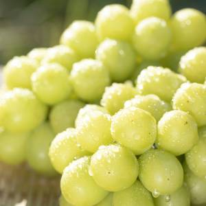 閉経後女性の筋力をサポート!? 最新研究で明らかになった“ぶどう”の力、どれくらい食べたらよい？