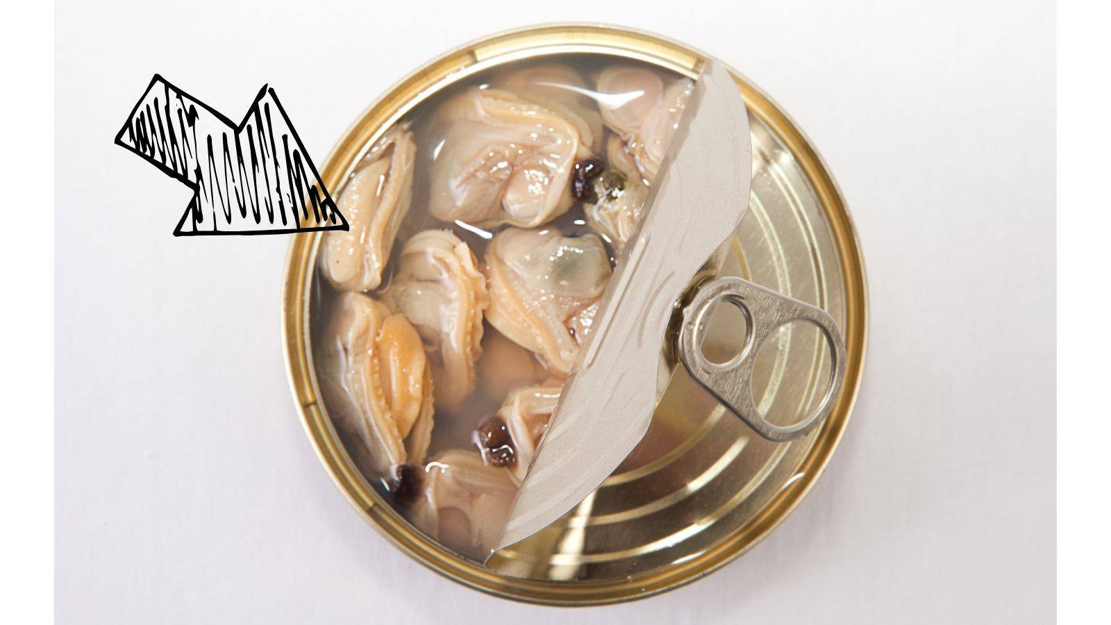 【あさり】鉄分は牛レバーに匹敵！？あさりの缶詰は“貧血女子の神食材”だった！おすすめの食べ方は？