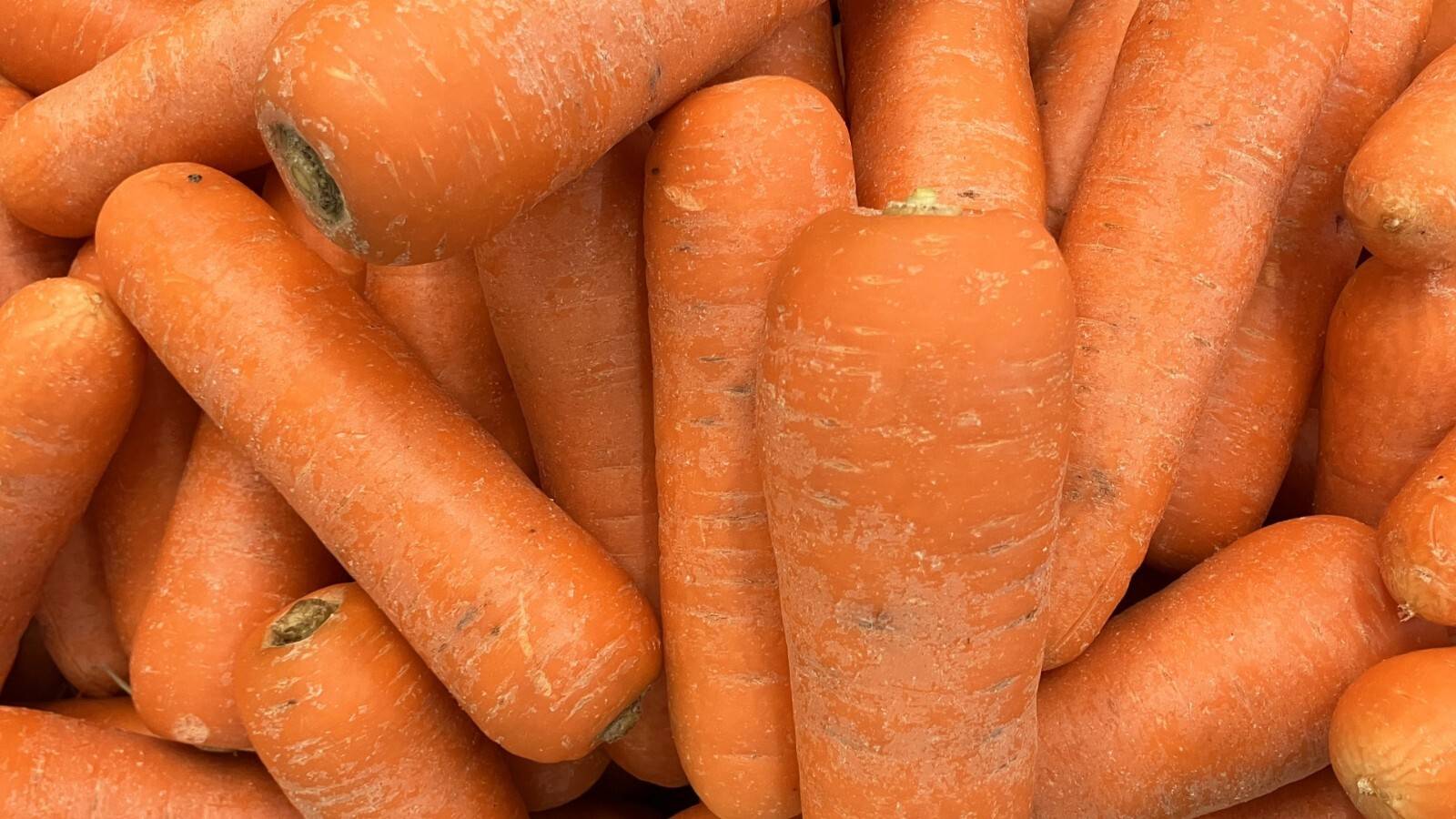 大量のにんじん