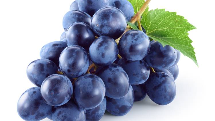 【旬のブドウ】食べ過ぎ注意!血糖値も中性脂肪も急上昇?適切な量は?管理栄養士が解説
