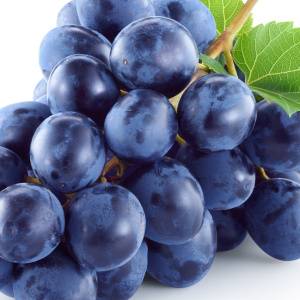 【旬のブドウ】食べ過ぎ注意！血糖値も中性脂肪も急上昇？適切な量は？管理栄養士が解説