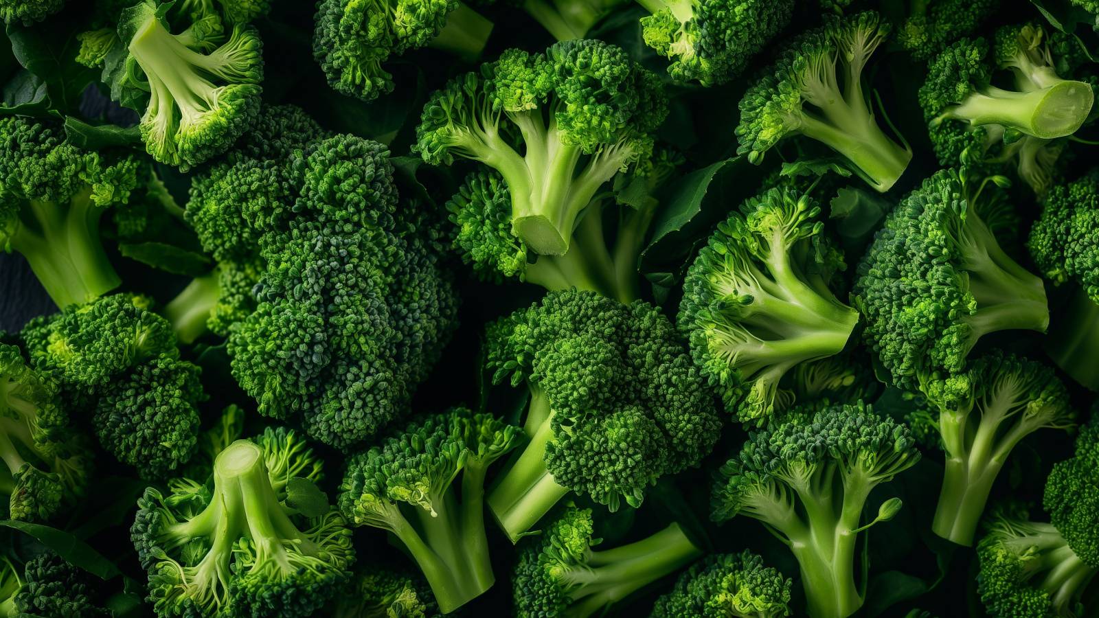 あの身近な野菜が“がん予防”に！｜日常的にブロッコリーを食べると“大腸がんリスク”が２割低下