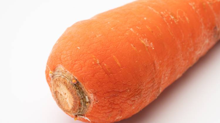 「にんじんがしなびてしまった…」古いにんじんは食べられる？見分けるポイントや保存のコツを解説