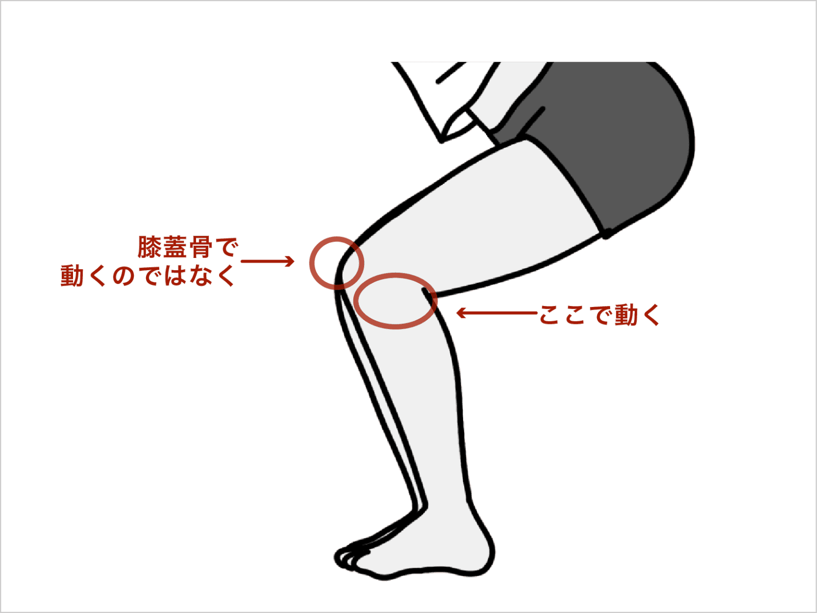 膝はお皿の下で動く