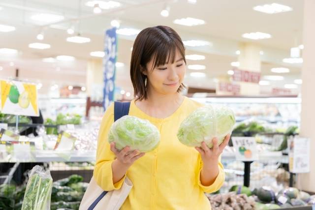 捨てたら損！キャベツの外葉や芯にある知られざる栄養とは【管理栄養士が解説】