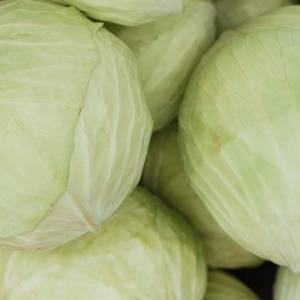 「いつも捨ててたわ…」キャベツの外葉や芯にある知られざるスゴイ栄養とは【管理栄養士が解説】