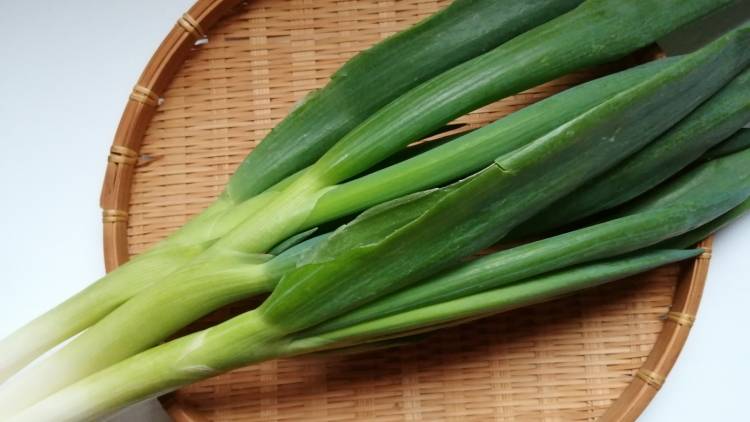 ネギの青と白で効果が違う？疲労回復に効く「ネギ」の正しい食べ方｜管理栄養士が解説