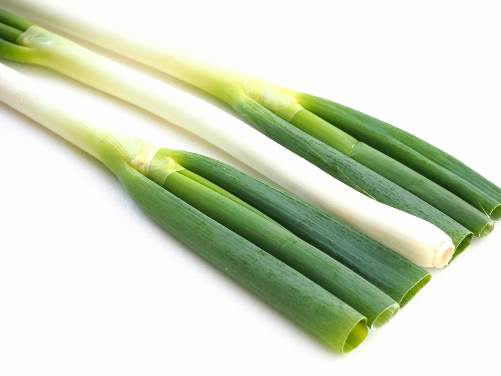 長ネギ