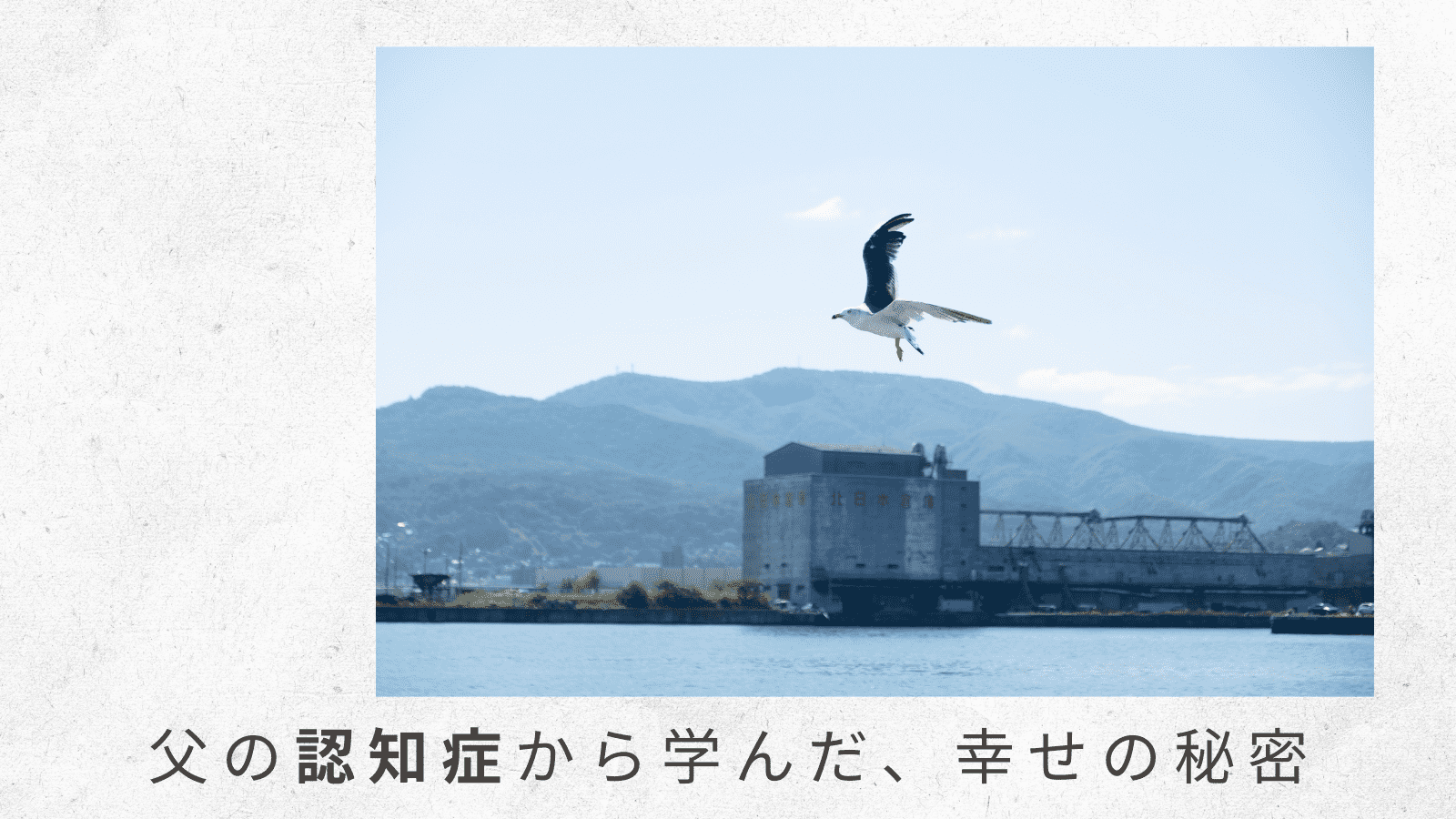 （3）だんだんわかってくる要介護認定とケアマネジャー事情