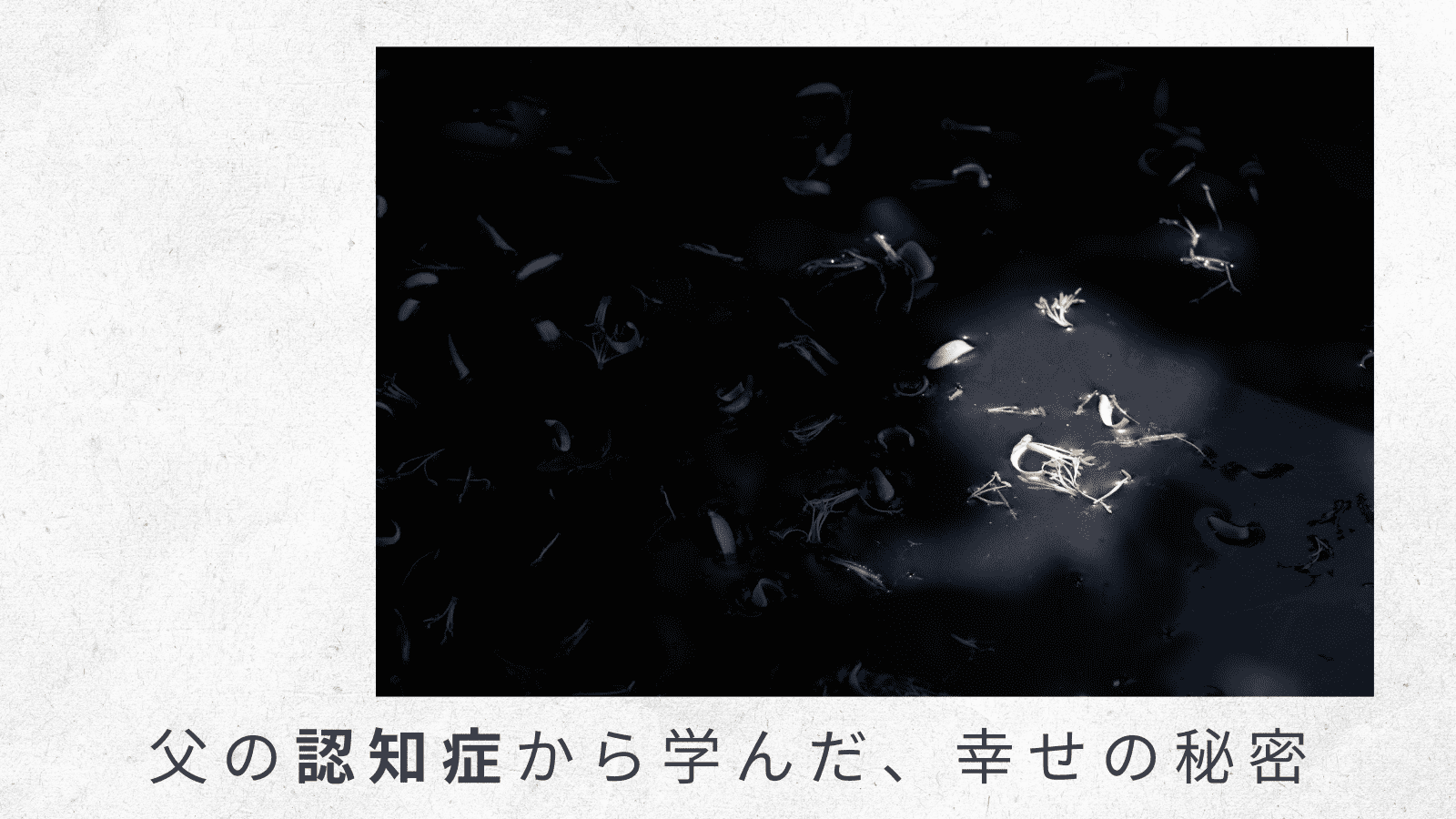（4）父の症状でもっとも悩まされた母への攻撃と妄想