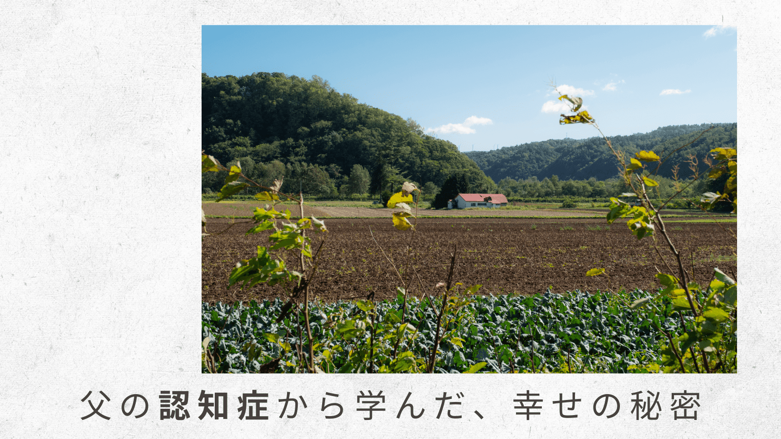 （7）いくら感謝しても仕切れないケアマネさんへの思い……