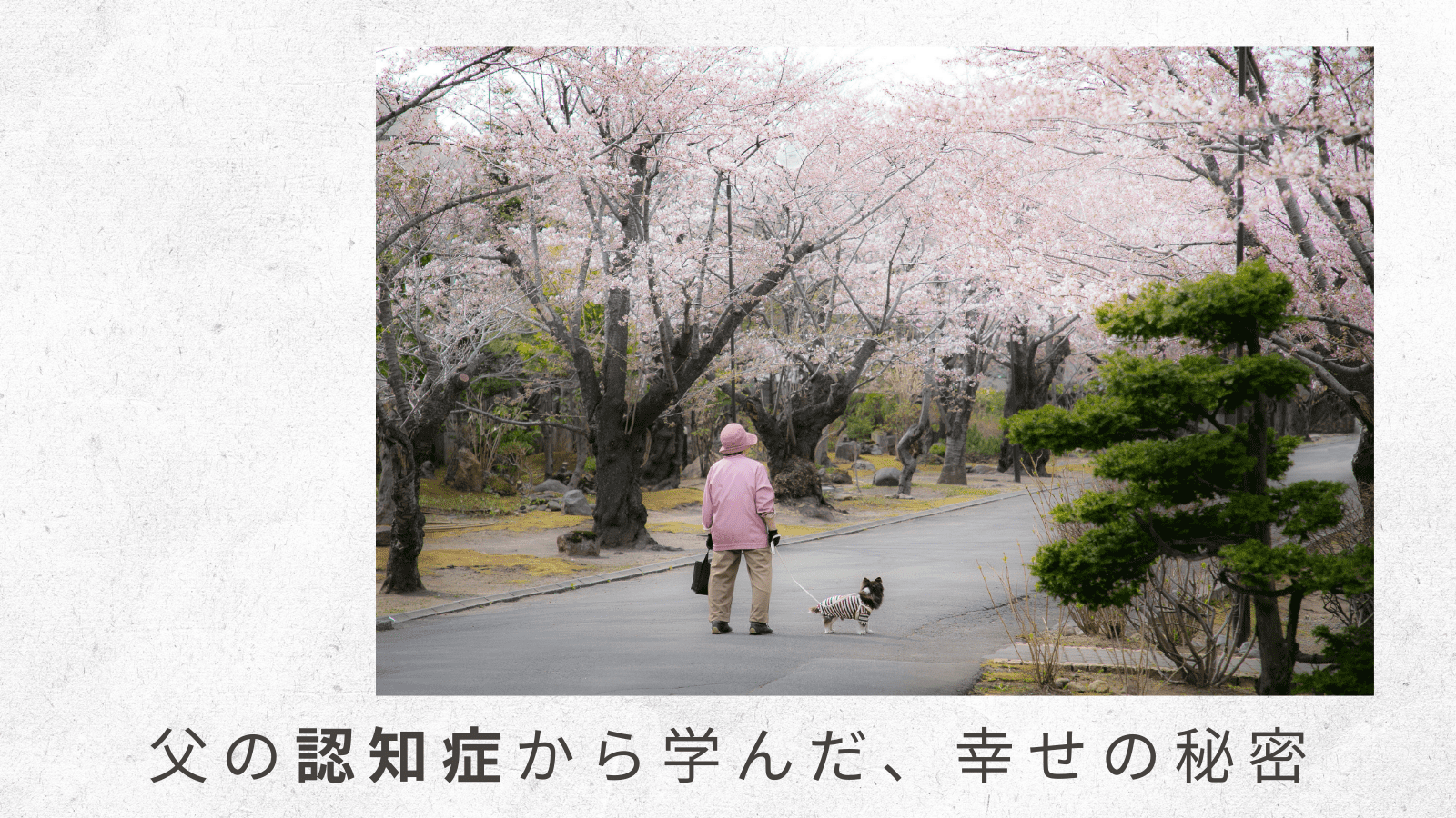 （8）介護保険制度をどうやって維持するのか。ロスジェネとしての思い
