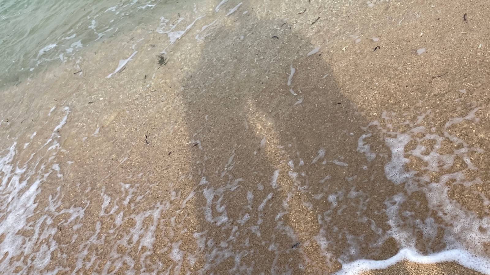 「同じ方向を向く」ではなく“共鳴する”アーユルヴェーダ的パートナーシップの育み方