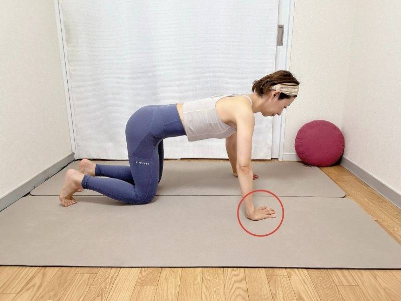 手を肩幅の1.5倍程度に開き、指先を内側にした四つ這いの体勢