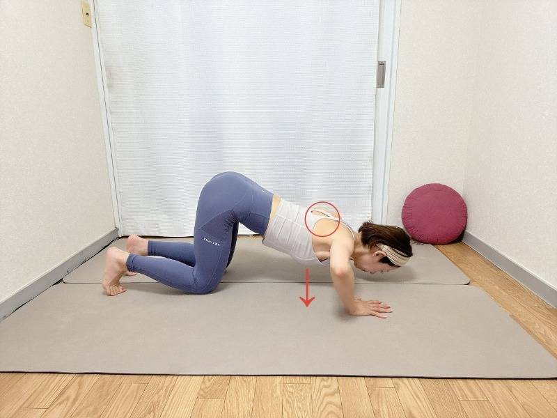 手を肩幅の1.5倍程度に開いた四つ這いから肘を外に向け、肩甲骨を寄せて胸を床に近づけた体勢