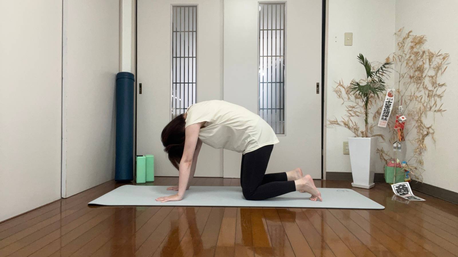 キャットアンドカウ