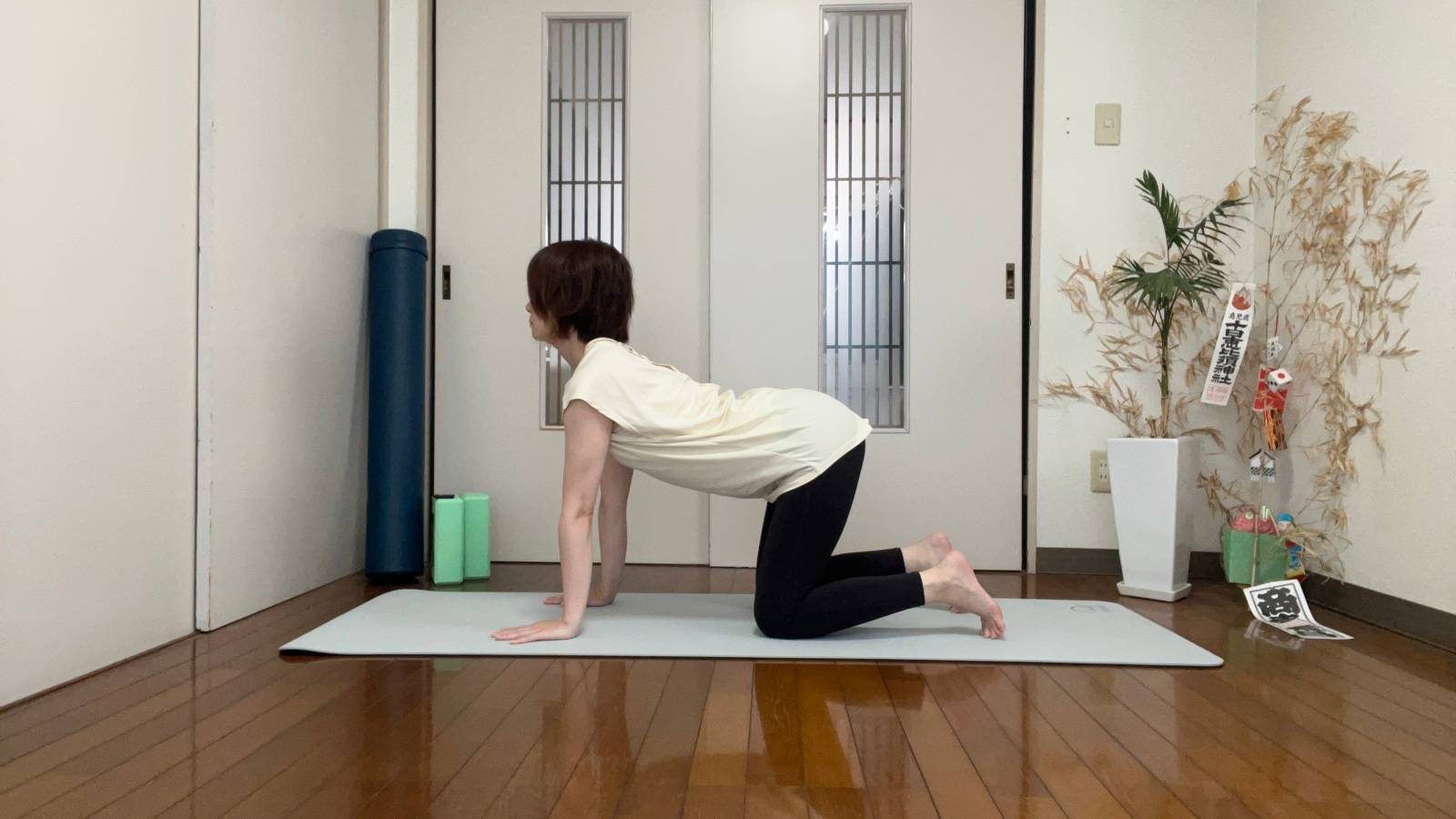 キャットアンドカウ