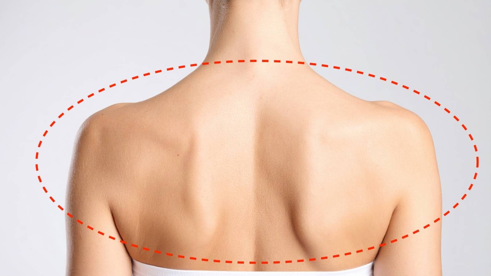 たった10回肩甲骨を寄せるだけ！背中のはみ肉を解消する四つ這いエクササイズ