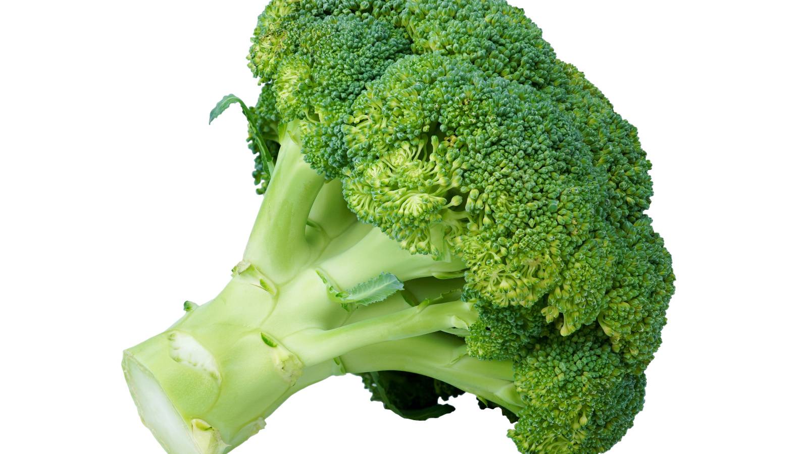 【ブロッコリー】食べ過ぎると腸に悪い？注意が必要な体質とは？管理栄養士が解説
