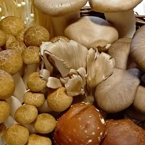 40代の疲れに効く！腸が整う旬の食材と鉄やビタミンがたっぷりな食材とは？【管理栄養士が解説】