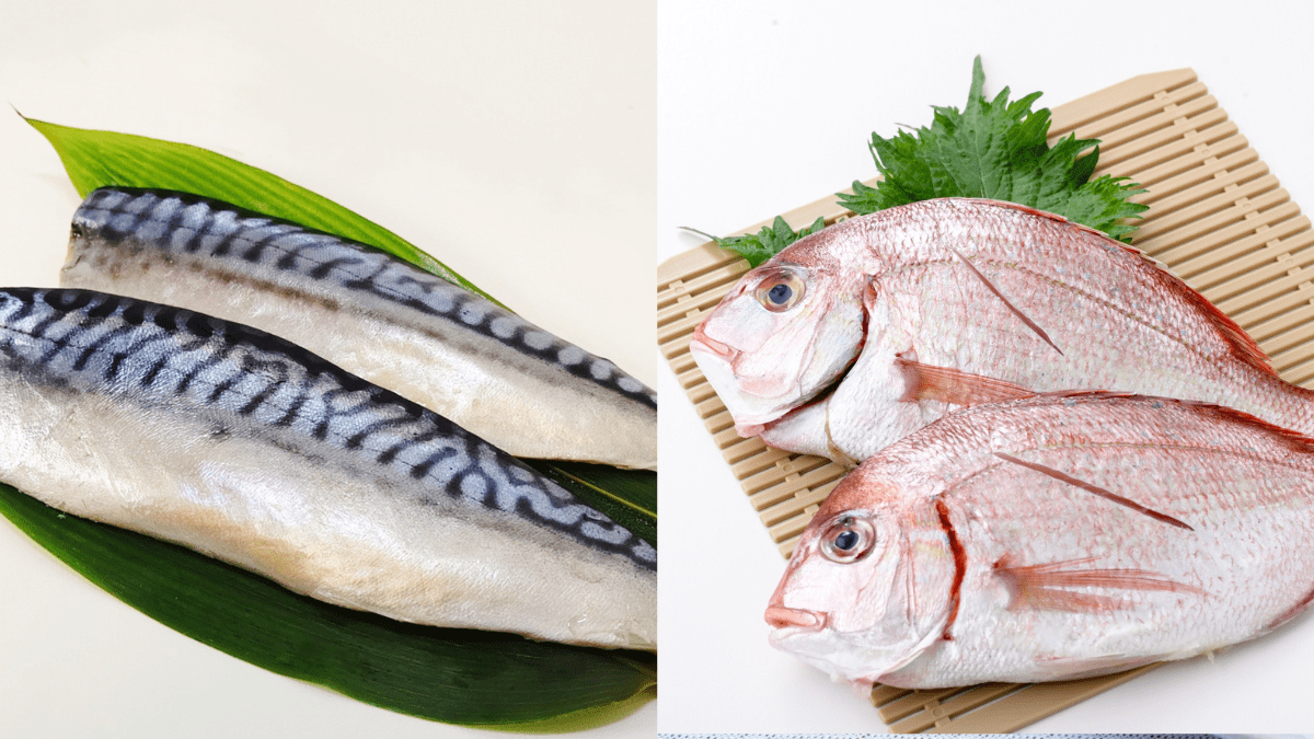 青魚と白身魚、どっちが体にいい？もったいない食べ方の人が多い！栄養士が教える「賢い魚の食べ方」
