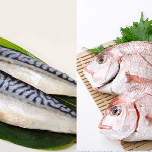 青魚と白身魚、どっちが体にいい？もったいない食べ方の人が多い！栄養士が教える「賢い魚の食べ方」